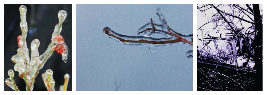 Ice Pictures Collage